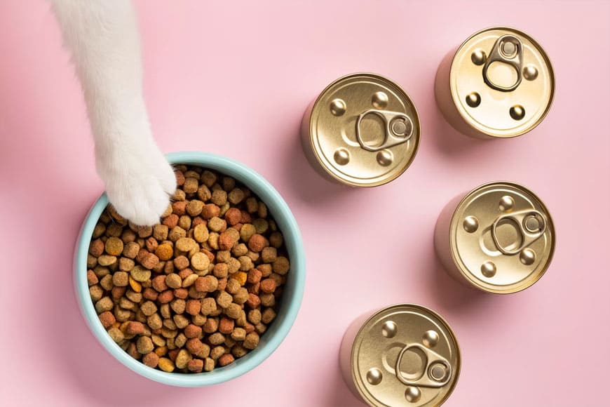 From Puppies to Seniors: PetFun Food for Every Life Stage