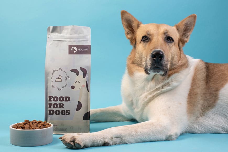PetFun Ingredients Explained: What Goes into Our Pet Food?