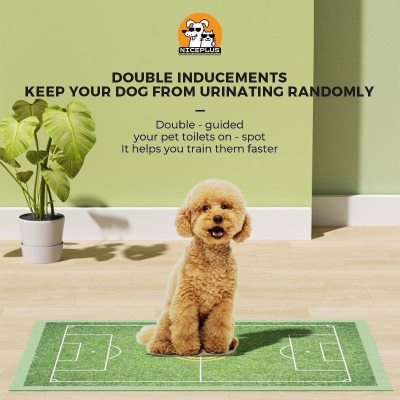 Dog pee pad