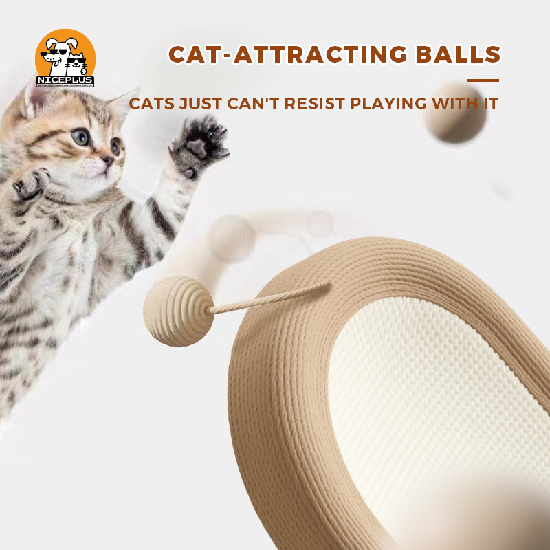 Cat scratching board