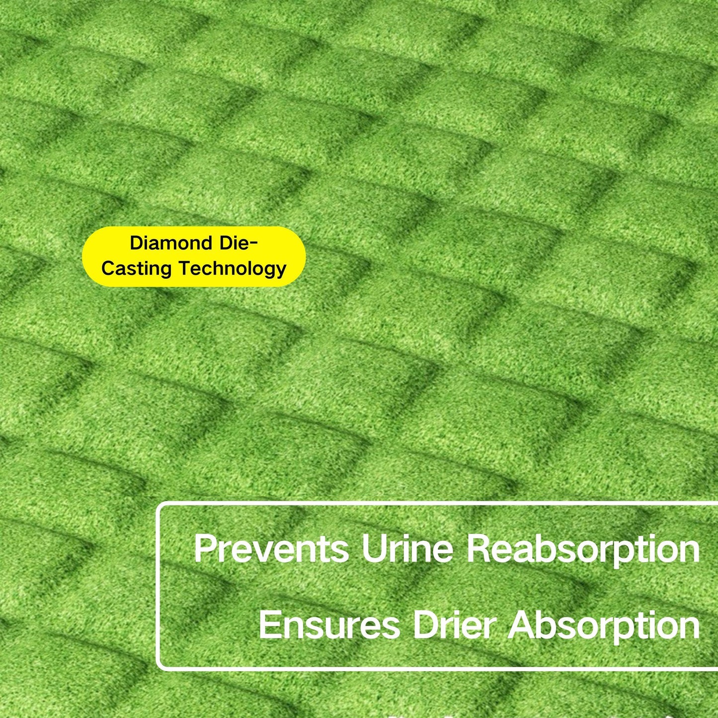 Dog pee pad