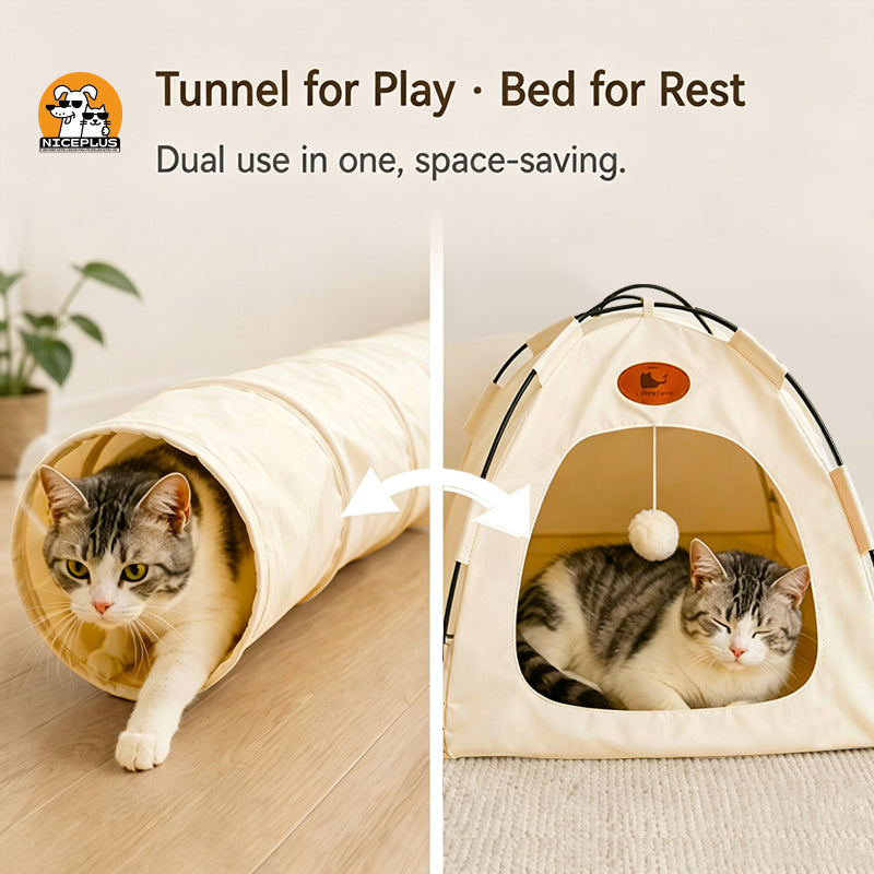 Tent tunnel cat bed