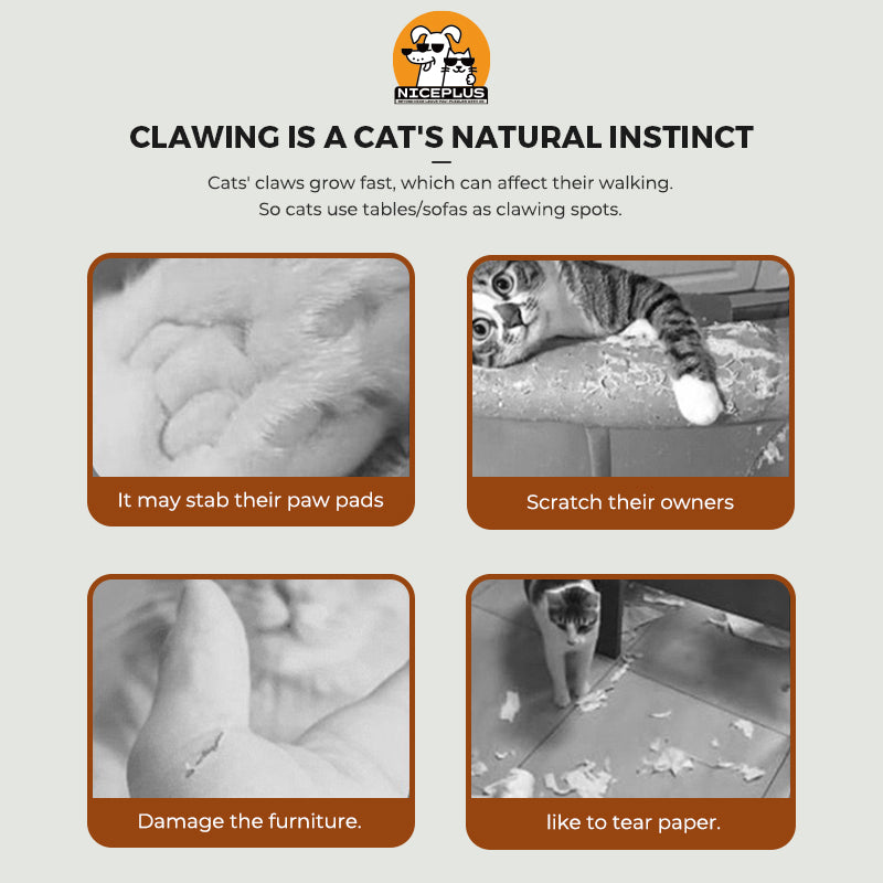 Cat scratching board