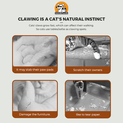 Cat scratching board