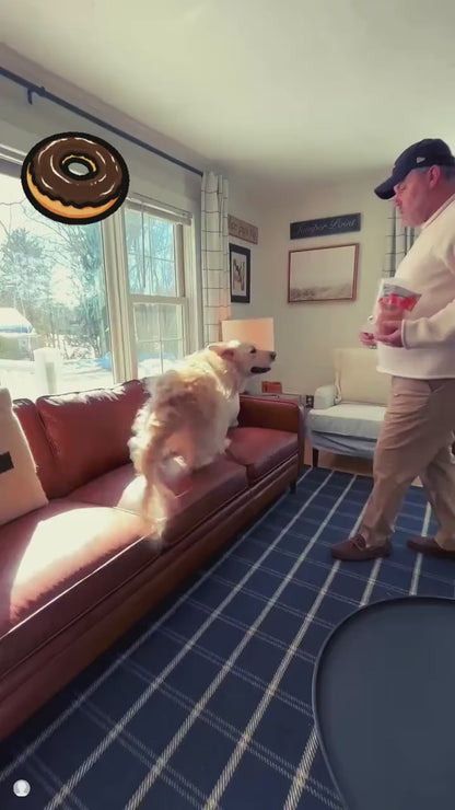 Dog bites stick