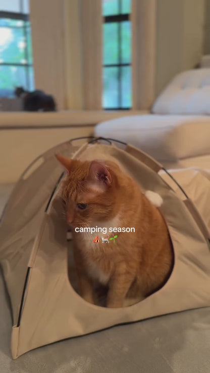 Tent tunnel cat bed