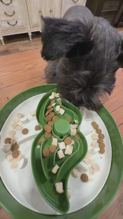 Licking the bowl