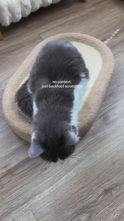Cat scratching board