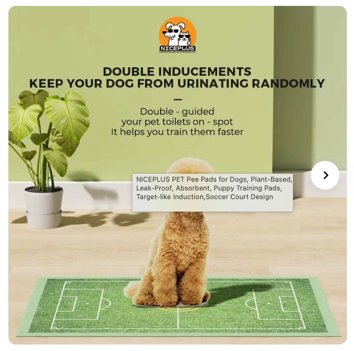 Plant-Based Training Pads